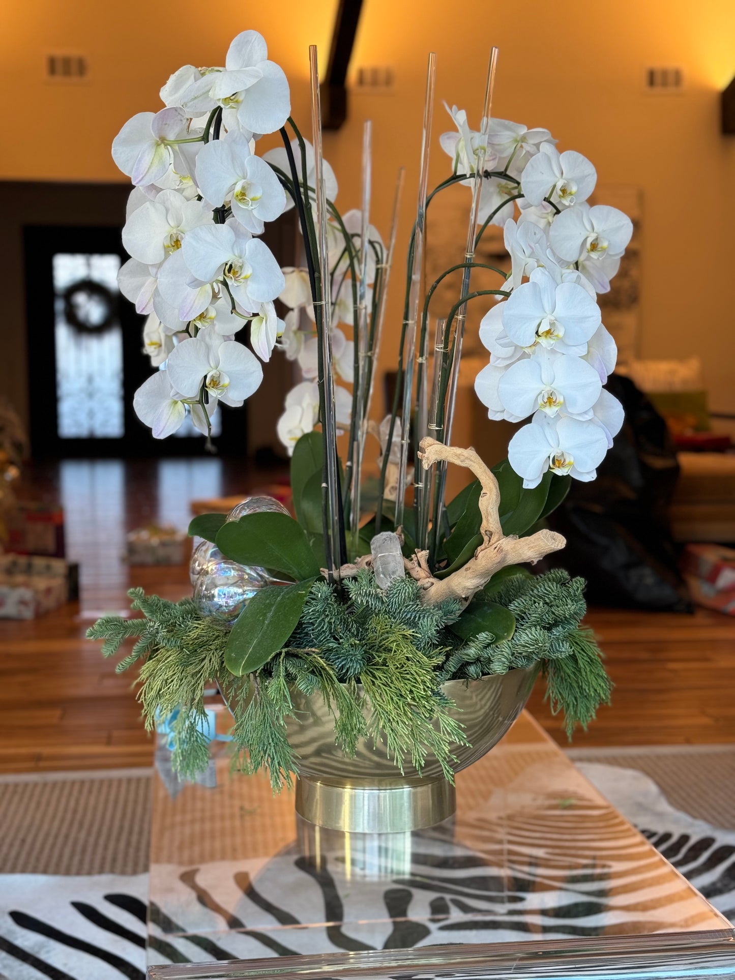 Winter White Orchid Garden
