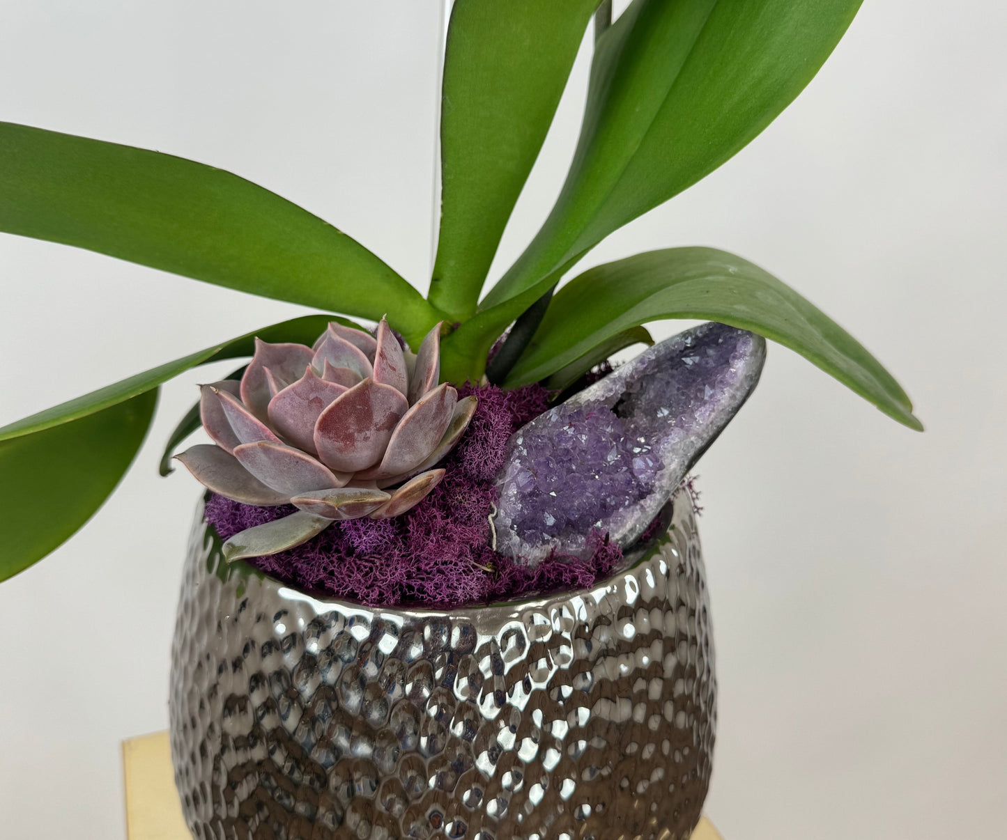 Cascading Orchid