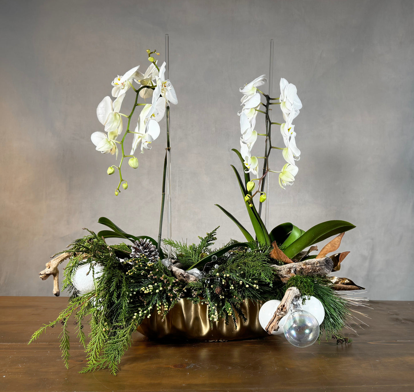 Cascading Snowdrift Orchid