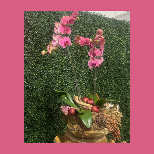 Designer's Choice Autumn Orchid