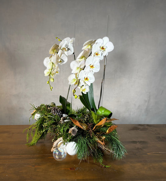 Cascading Snowdrift Orchid